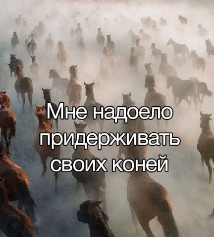 Мне надоело придерживать своих коней