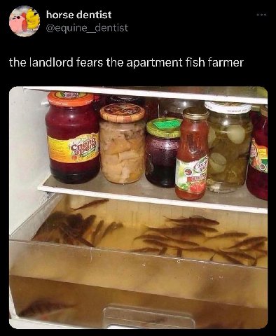 horse dentist @equine_dentist the landlord fears the apartment fish farmer