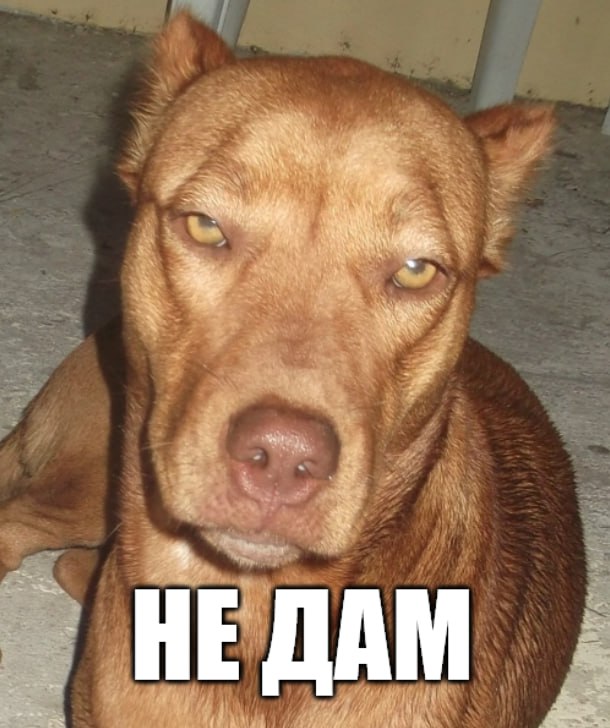 a? НЕ ДАМ