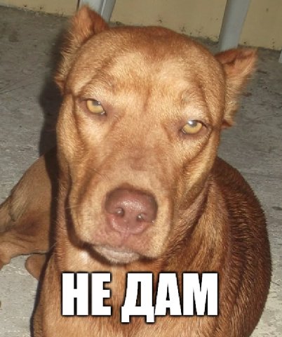 a? НЕ ДАМ