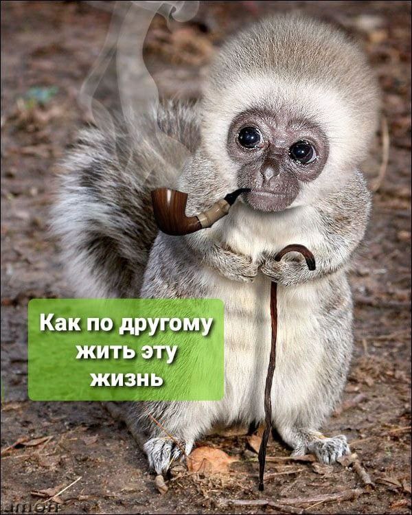 Bia. Как по другому другому ЖИТЬ ЭТУ жизнь 5.