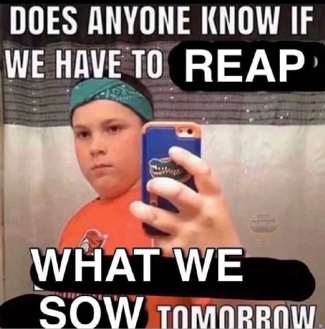 DOES ANYONE KNOW IF WE HAVE ТО REAP WHAT WE SOW