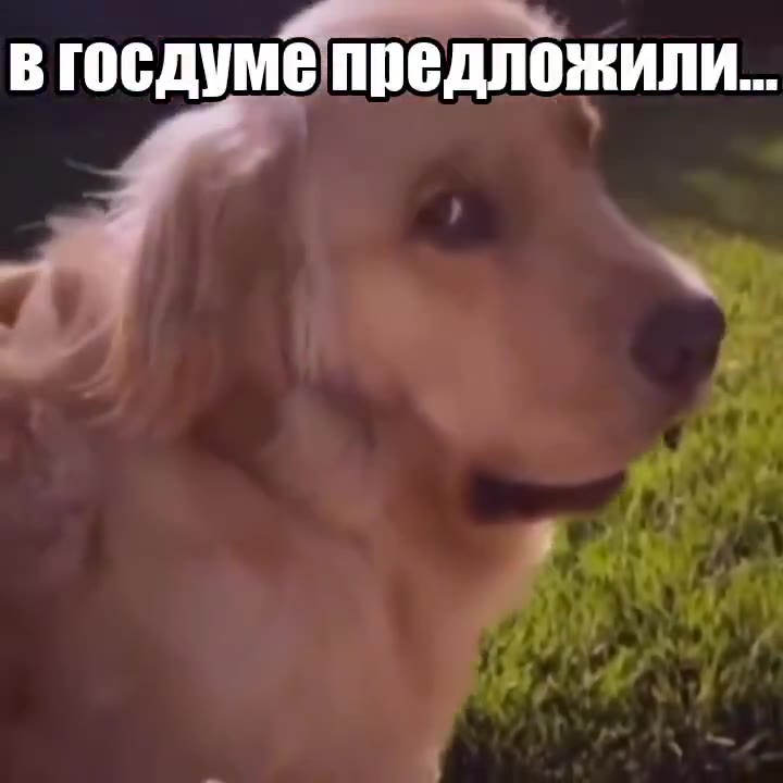 в госдумепредложили.. В госдумё предложили.