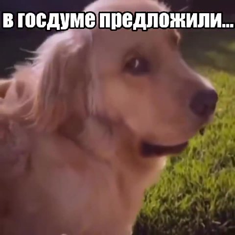 в госдумепредложили.. В госдумё предложили.