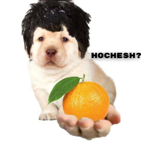 HOCHESH?