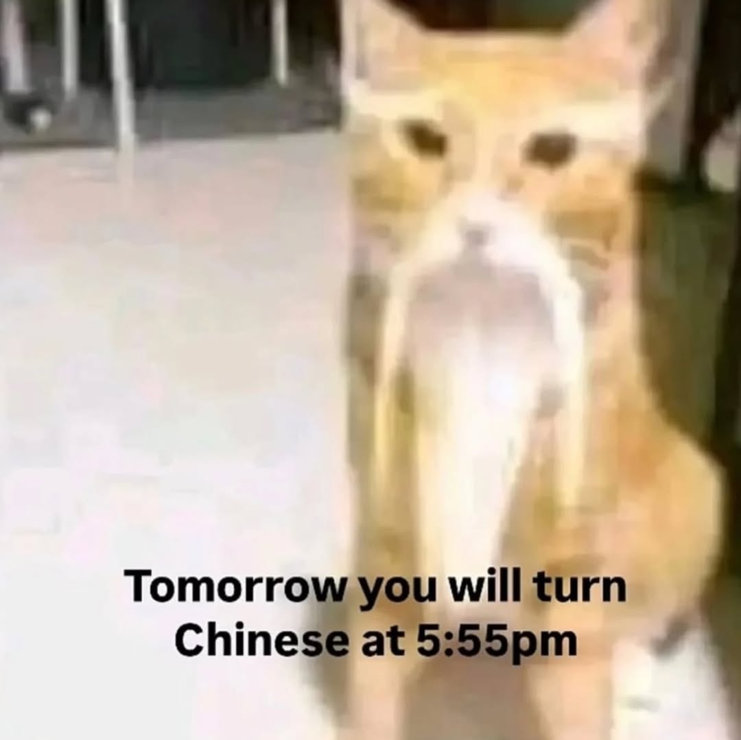 Tomorro Chine
