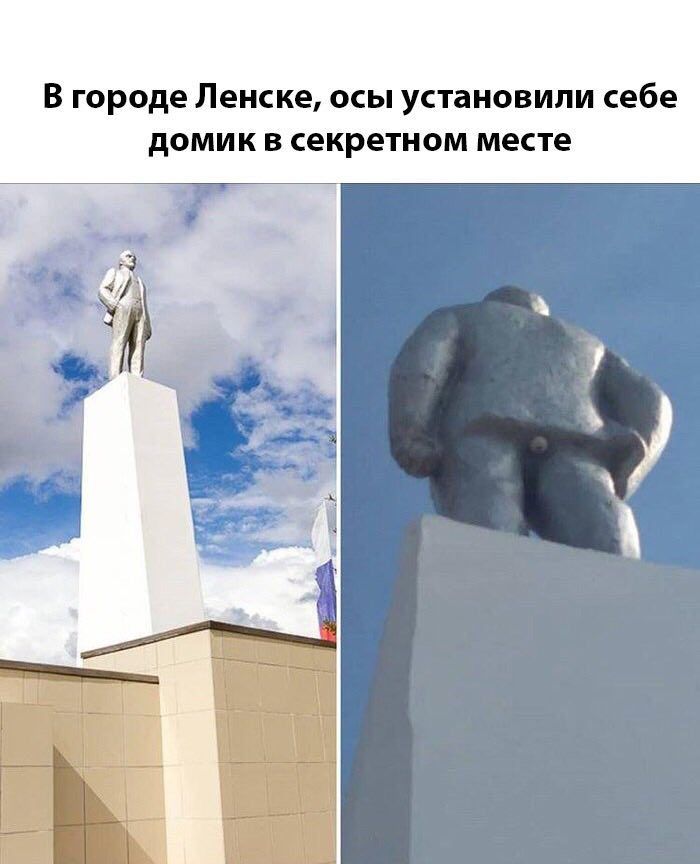 В городе Ленске, осы установили себе домик в секретном месте