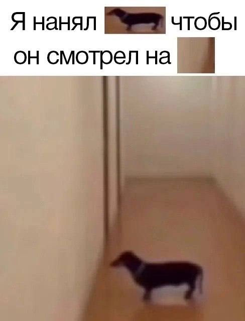 Я нанял чтобы он смотрел на