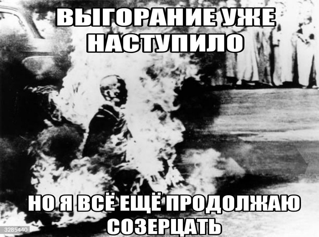 As НОЯ СОЗЕРЦАТЬ