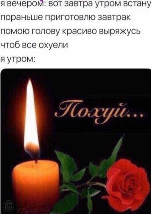я вечером: вот завтра утром встан пораньше приготовлю завтрак помою голову красиво выряжусь чтоб все охуели я утром: SLO.