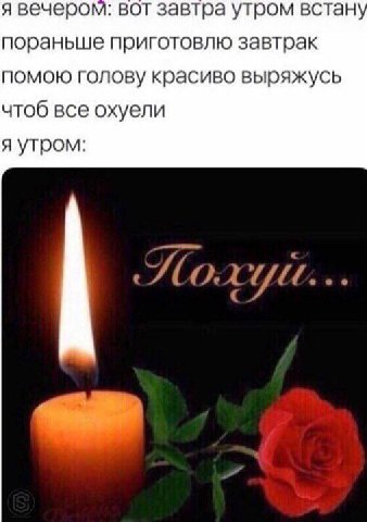 я вечером: вот завтра утром встан пораньше приготовлю завтрак помою голову красиво выряжусь чтоб все охуели я утром: SLO.