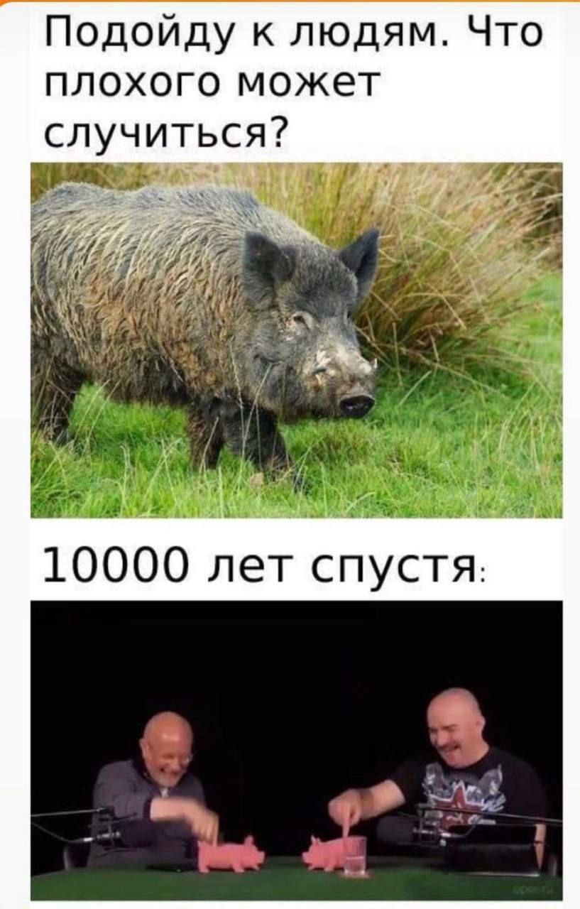 Подойду к людям. Что плохого может случиться? 4A 7 a a 2, 55 Or a 4 16: wil 10000 лет спустя: "he