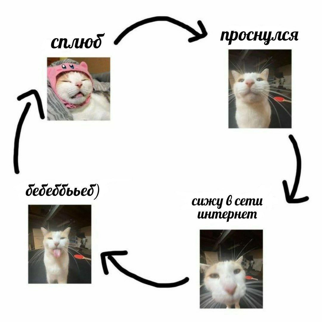 6 cemu