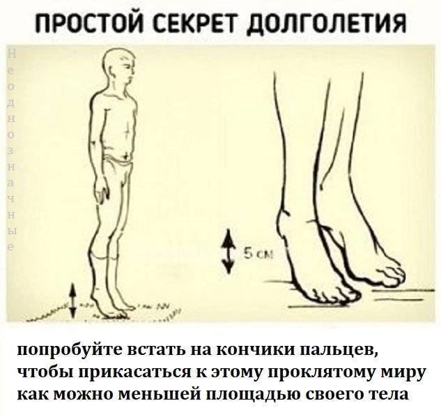 ПРОСТОИ СЕКРЕТ ДОЛГОЛЕТИЯ Som попробуйте встать на кончики пальцев, чтобы прикасаться к этому проклятому миру как можно меньшей площадью своего тела