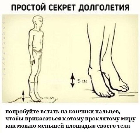 ПРОСТОИ СЕКРЕТ ДОЛГОЛЕТИЯ Som попробуйте встать на кончики пальцев, чтобы прикасаться к этому проклятому миру как можно меньшей площадью своего тела