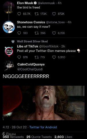 Elon Musk @elonmusk the bird is freed 11 Stonetoss Comics @stone toss so, we can say it now? 183 266 6,156 Wall Street Silver liked Libs of TikTok @libsoftiktok Post all your Twitter-Elon memes please