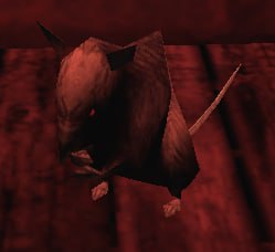that rat make me notice something