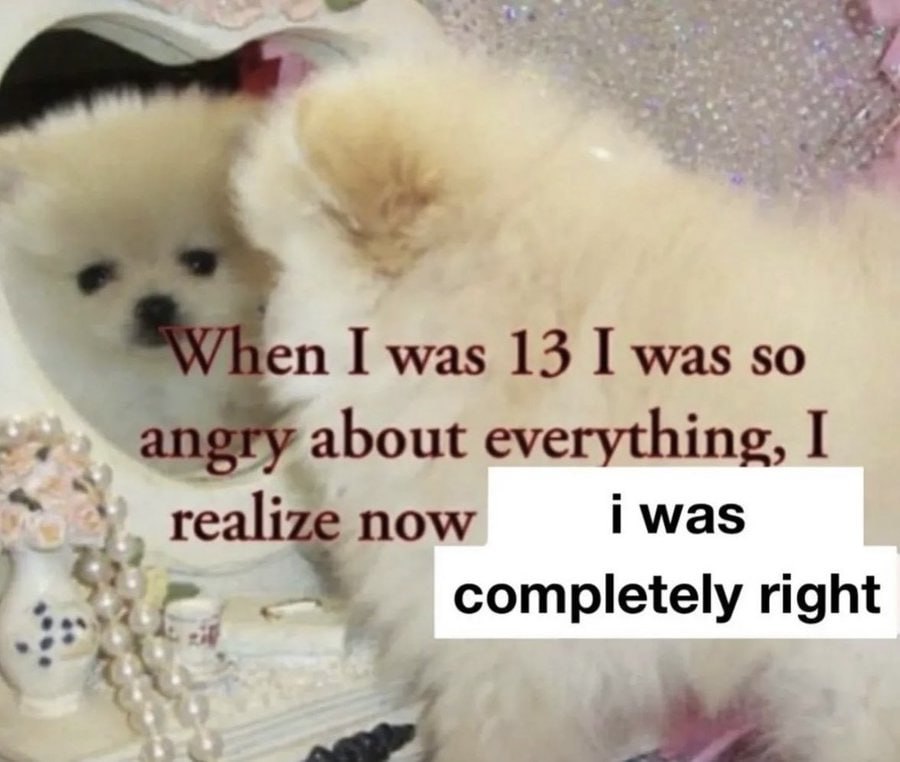 we When was 13 I was so 4 у about everything, now i was completely right