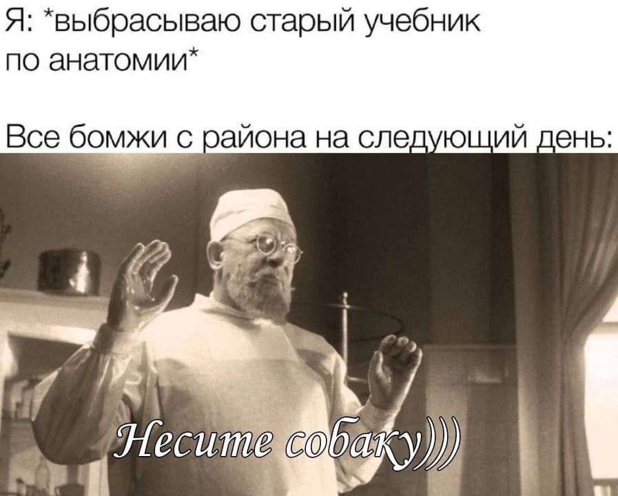 Я: *выбрасываю старый учебник по анатомии* Все бомжи с района на следующий день: