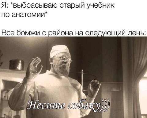 Я: *выбрасываю старый учебник по анатомии* Все бомжи с района на следующий день:
