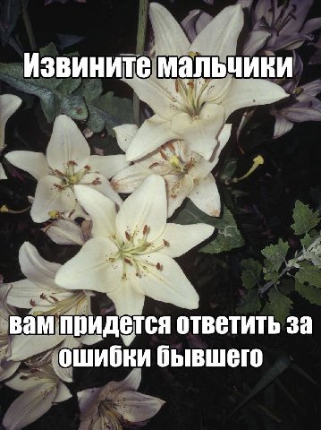 Кто из вас