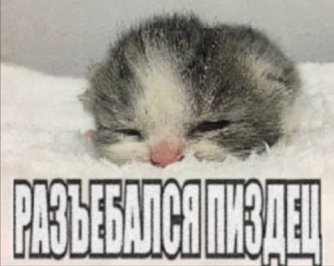 ПИЗДЕЦ