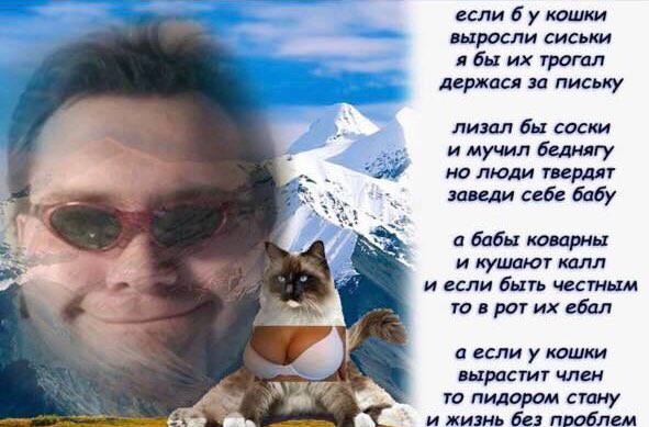 если 6 у кошки выросли сиськи я бы трогал держася за письку лизал бы соски и мучил беднягу но люди твердят заведи себе бабу a4 а бабы коварны и кушают калл и если быть честным то в рот ебал аесли у ко