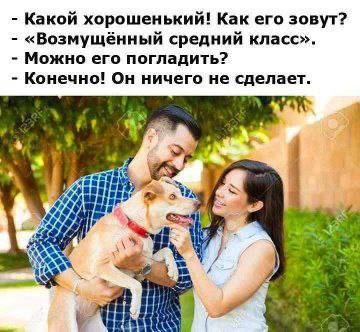Какой хорошенький! Как его зовут? «Возмущённый средний класс». Можно его погладить? Конечно! Он ничего не сделает. Lat! it