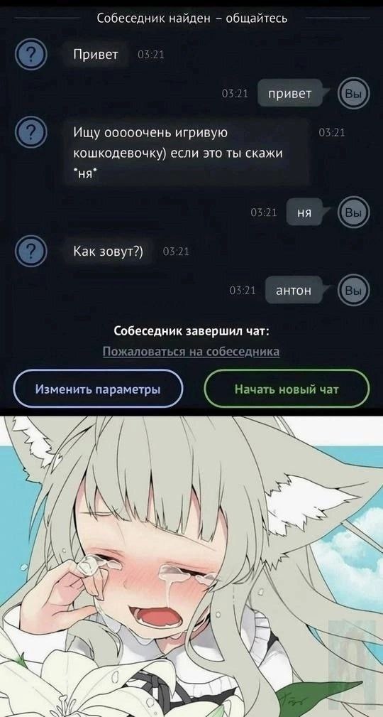 Собеседник найден общайтесь Привет 03 0321 привет Вы) Ищу ооооочень игривую 03:21 кошкодевочку) если это ты скажи 03:21 В Как зовут?) 3:21 03:2 антон Вы) Собеседник завершил чат: Пожаловаться на собес