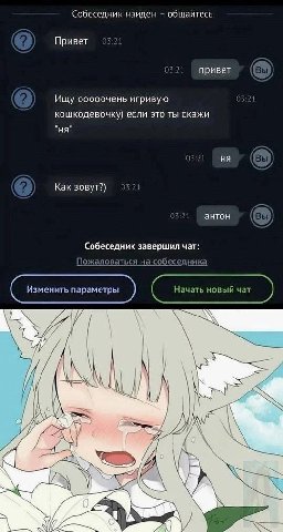 Собеседник найден общайтесь Привет 03 0321 привет Вы) Ищу ооооочень игривую 03:21 кошкодевочку) если это ты скажи 03:21 В Как зовут?) 3:21 03:2 антон Вы) Собеседник завершил чат: Пожаловаться на собес