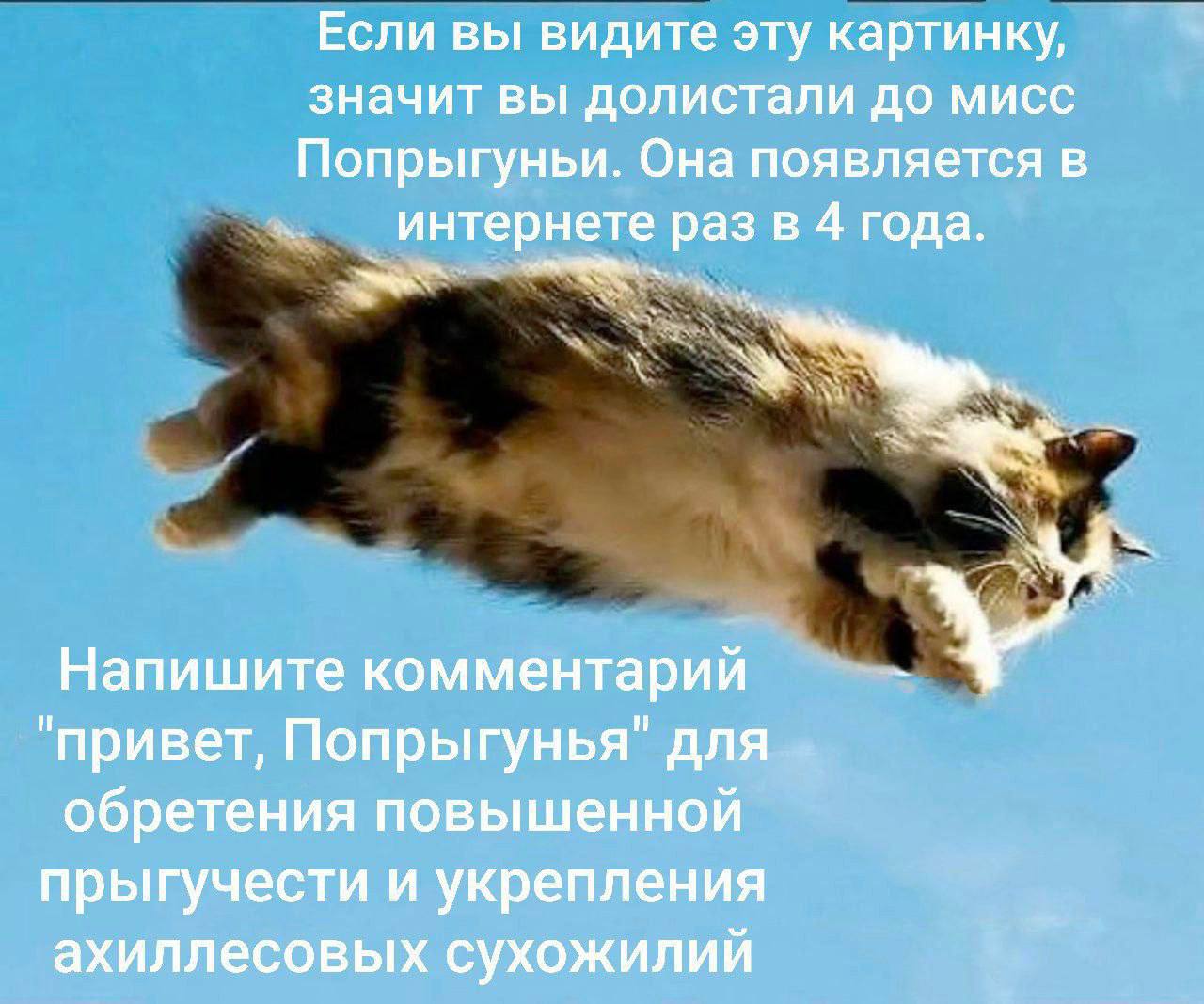 Если вы видите эту картинку, значит вы долистали до мисс Попрыгуньи. Она появляется в Интернете раз в 4 года. Напишите комментарий "привет, Попрыгунья" для обретения повышенной прыгучести и укрепления