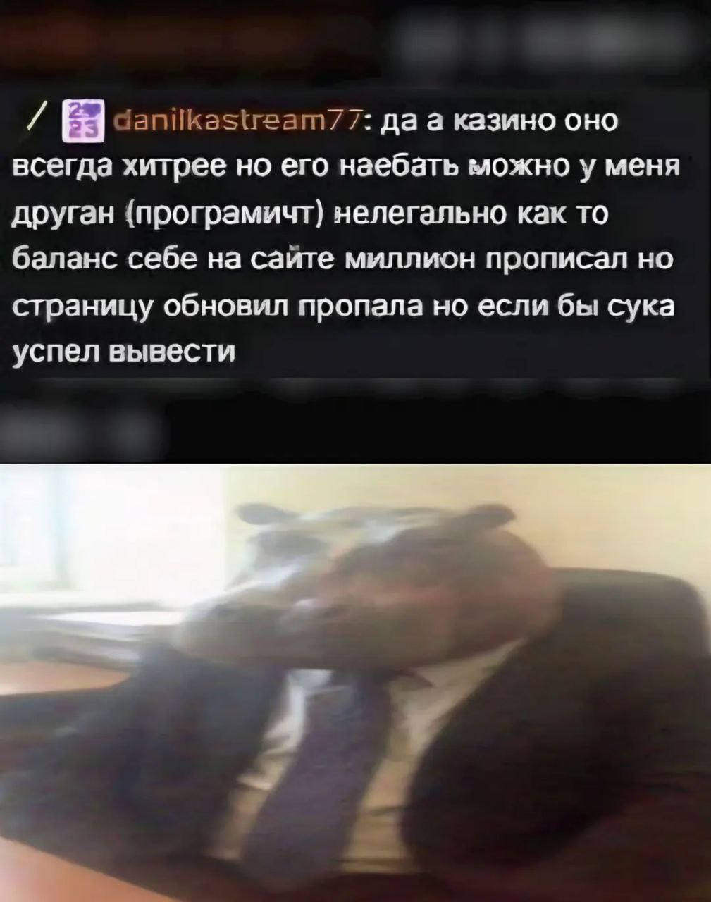 77; даа казино оно всегда хитрее но его наебать можно у меня друган (програмичт) нелегально как то баланс себе на саите миплион прописал но страницу обновил пропала но если бы сука успел вывести 4