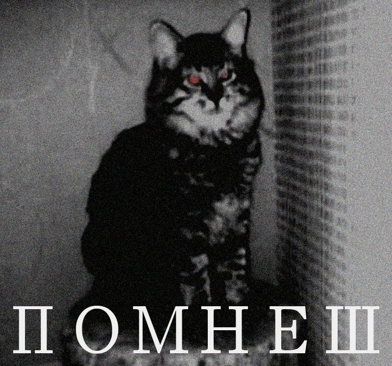 ПОМНЕШ