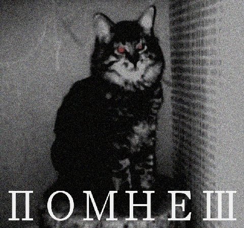 ПОМНЕШ