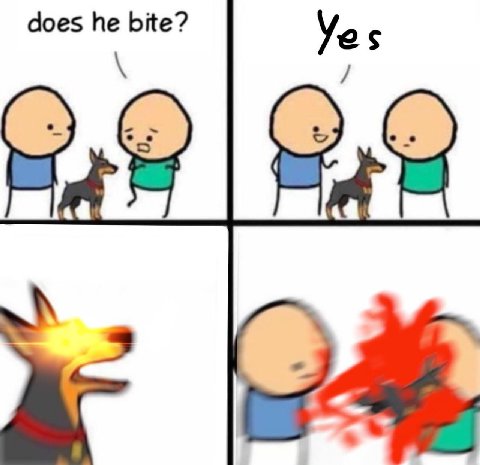 does he bite?