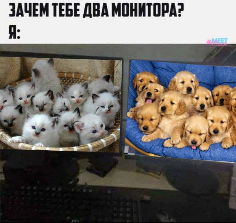 ЗАЧЕМ ТЕБЕ ДВА МОНИТОРА? 9
