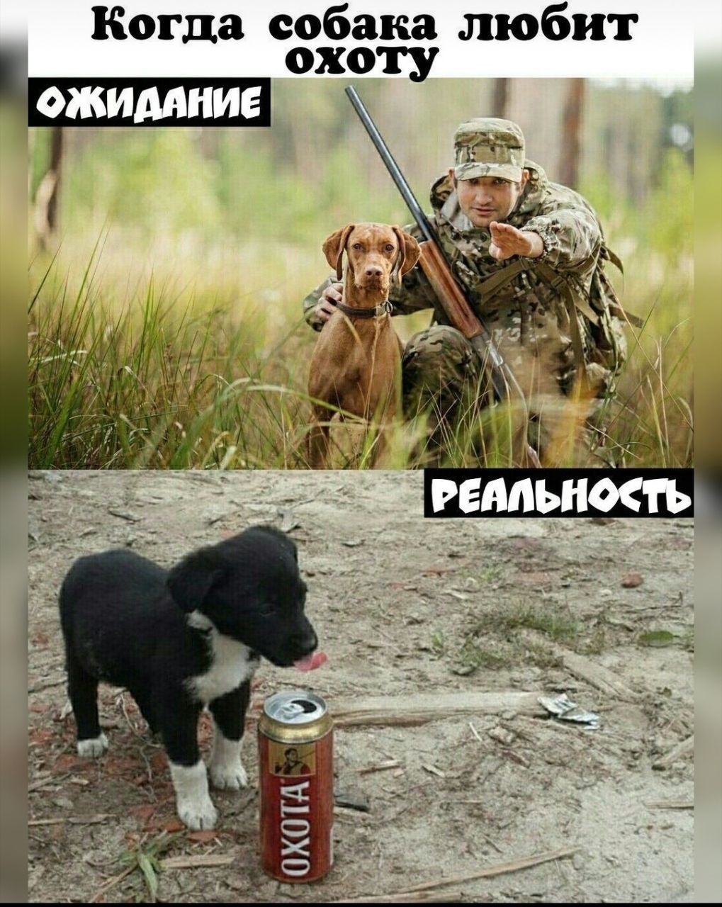Когда собака любит охот ОЖИДАНИЕ