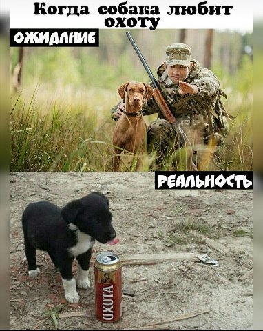 Когда собака любит охот ОЖИДАНИЕ