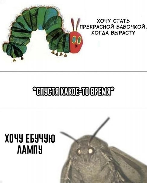 ХОЧУ СТАТЬ ПРЕКРАСНОЙ БАБОЧКОЙ КОГДА ВЫРАСТУ ЕБУЧУЮ