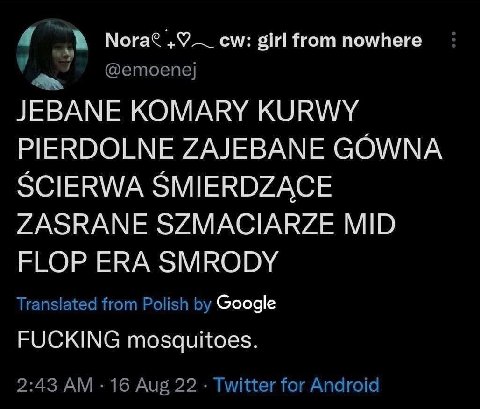 4 Nora? „Я girl from nowhere @етоепе] JEBANE КОМАКУ KURWY PIERDOLNE ZAJEBANE GOWNA SCIERWA SMIERDZACE ZASRANE SZMACIARZE MID FLOP ERA SMRODY Translated from Polish Google FUCKING mosquitoes. 2:43 16 A