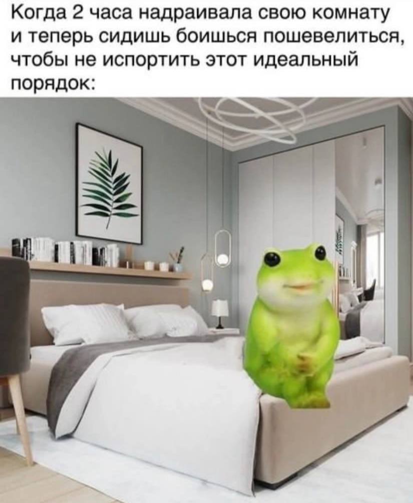 Когда 2 часа надраивала свою комнату и теперь сидишь боишься пошевелиться, чтобы не испортить этот идеальный порядок: