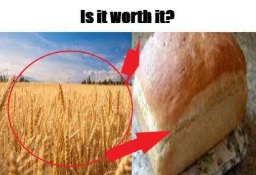 is it worth it? и