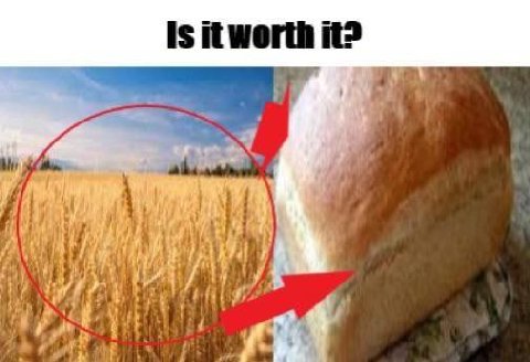 is it worth it? и