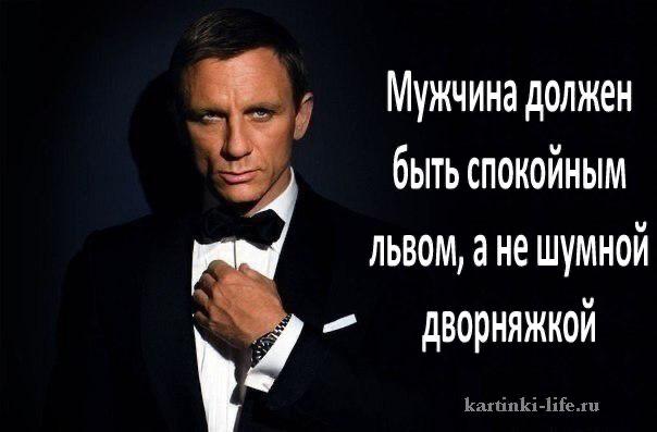 Мужчина должен быть спокойным ЛЬВОМ, а Не ШУМНОЙ