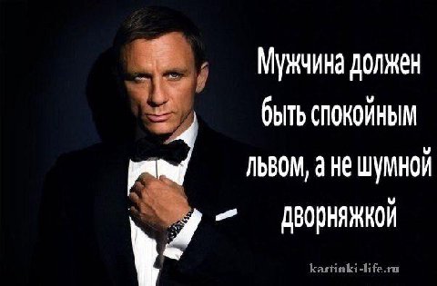 Мужчина должен быть спокойным ЛЬВОМ, а Не ШУМНОЙ