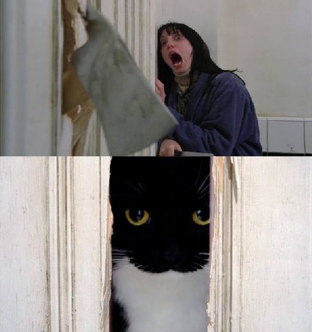 мем