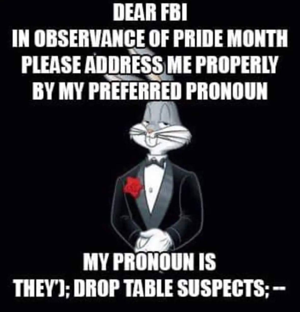 DEAR FBI IN OBSERVANCE OF PRIDE MONTH PLEASE ADDRESS ME PROPERLY MY PREFERRED PRONOUN MY PRONOUN IS THEY’); DROP TABLE SUSPECTS;