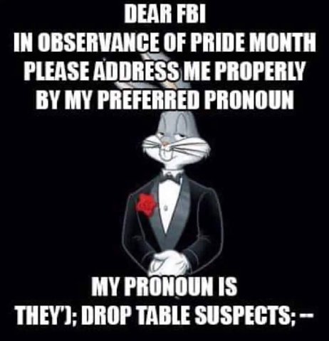 DEAR FBI IN OBSERVANCE OF PRIDE MONTH PLEASE ADDRESS ME PROPERLY MY PREFERRED PRONOUN MY PRONOUN IS THEY’); DROP TABLE SUSPECTS;