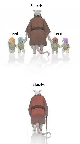 Sneeds feed seed Chucks