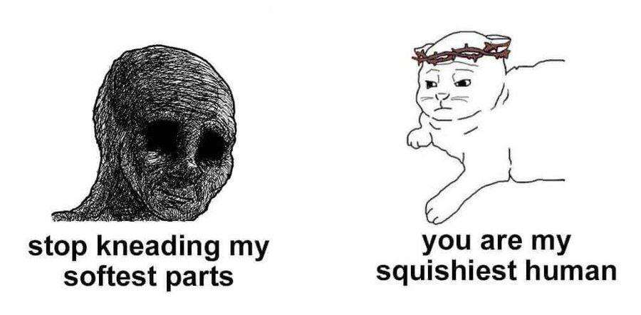 you are my stop kneading my squishiest human softest parts